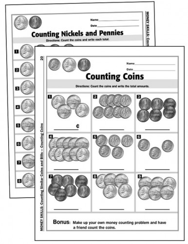 MONEY SKILLS RESOURCE FILE (INCLUDES CD)